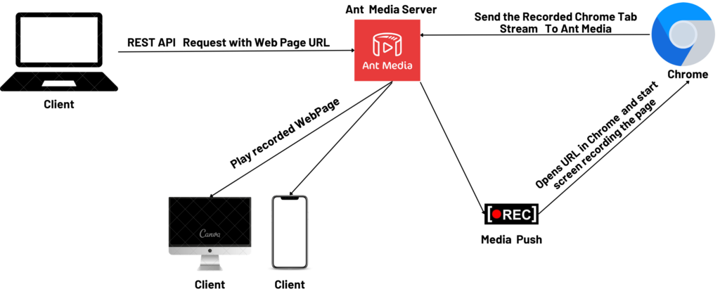 Media Push Plugin Architecture