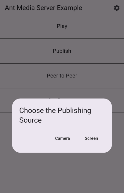 flutter publish source