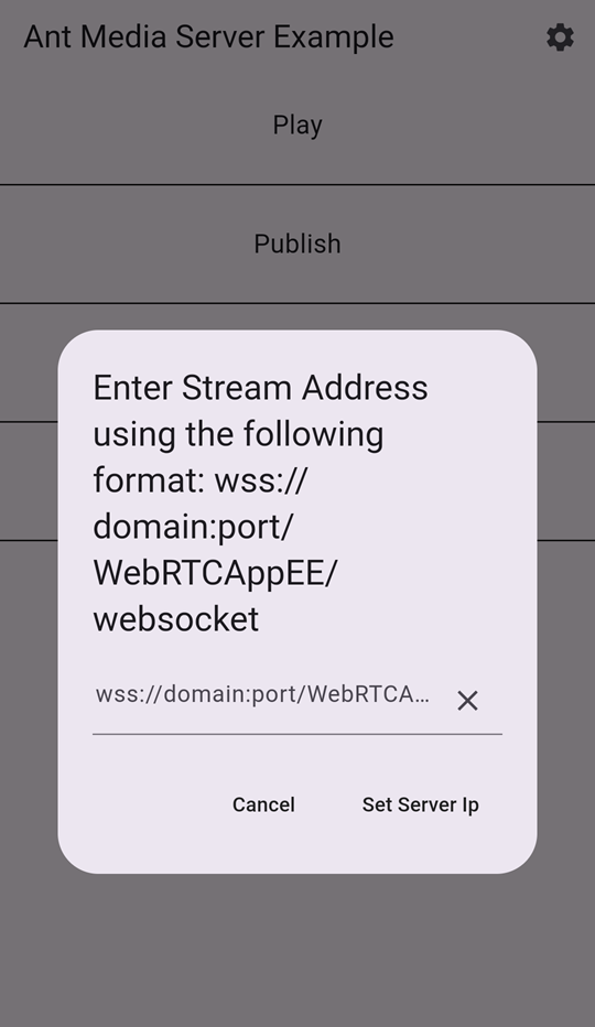 flutter server address
