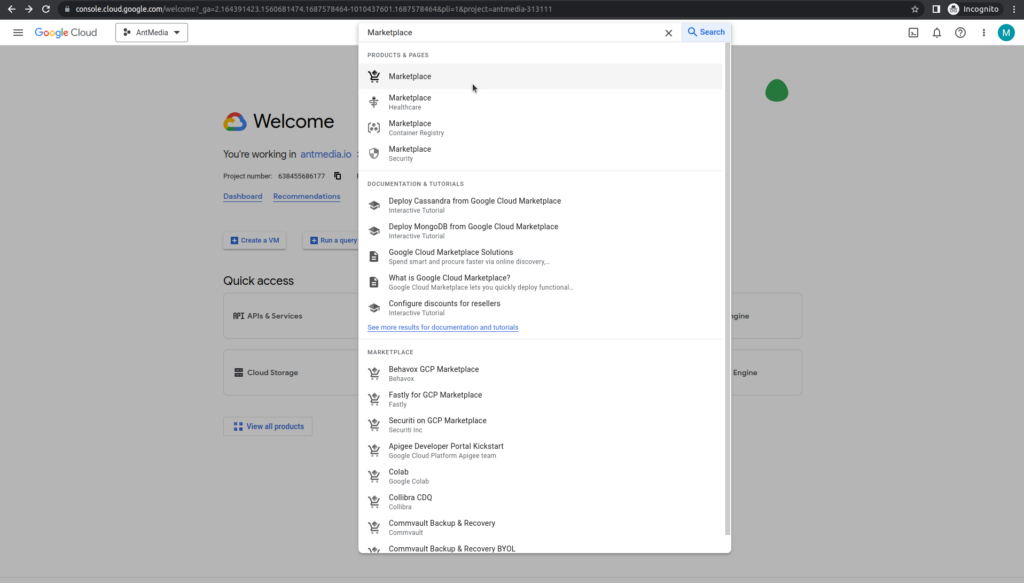 Accessing Google Cloud Marketplace