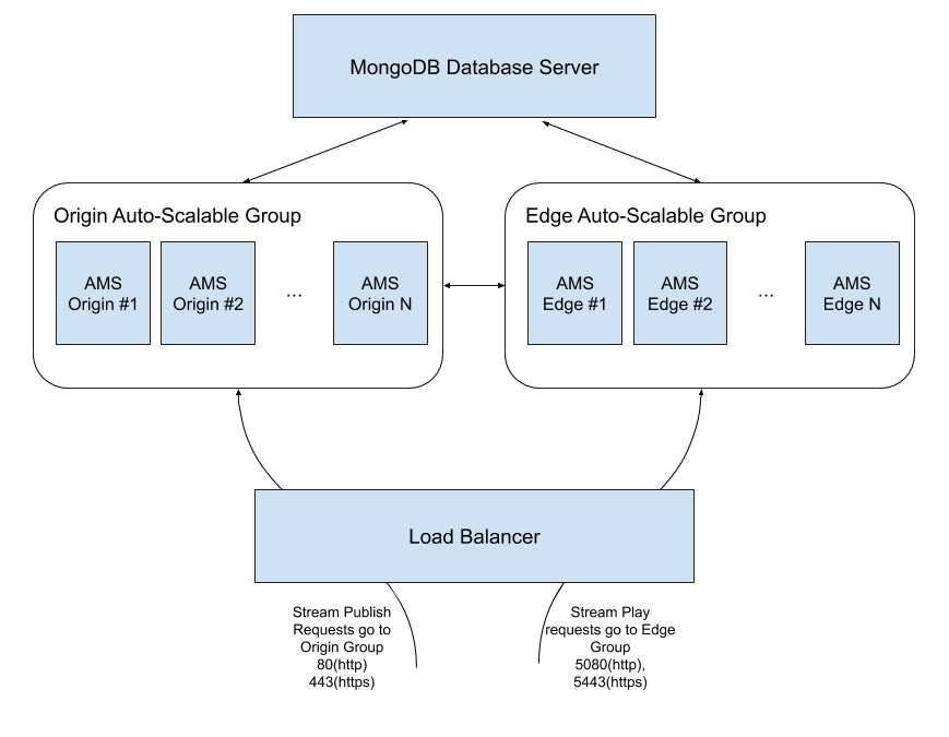 ams cluster schema