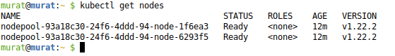 kubectl get nodes command