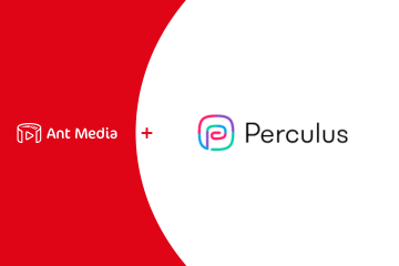 perculus-case-study