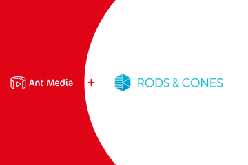 Rodes-cones-case-study
