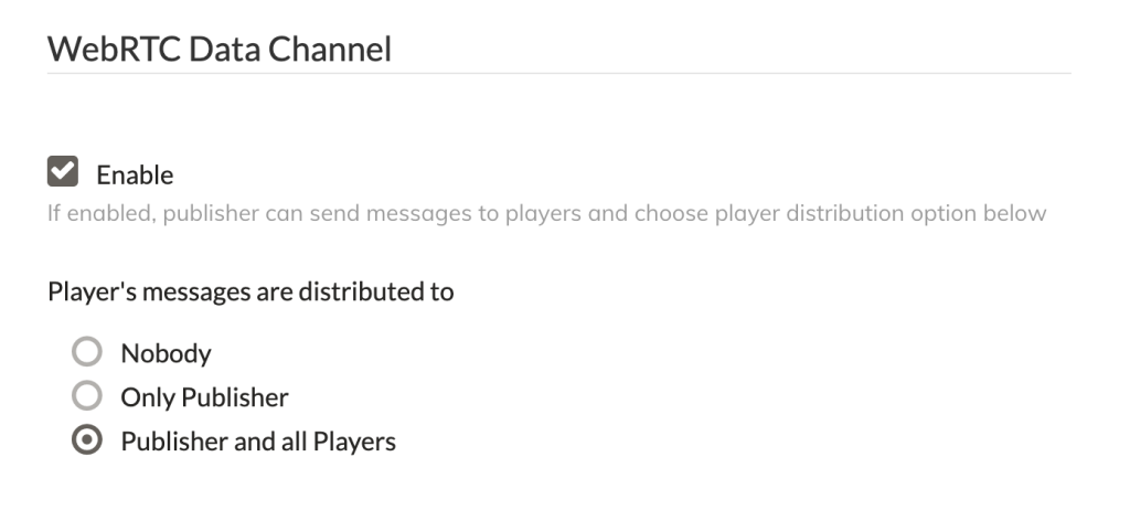Ant Media Server Application Settings Data Channel