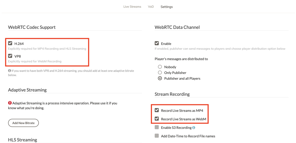 WebM or MP4 recording configuration
