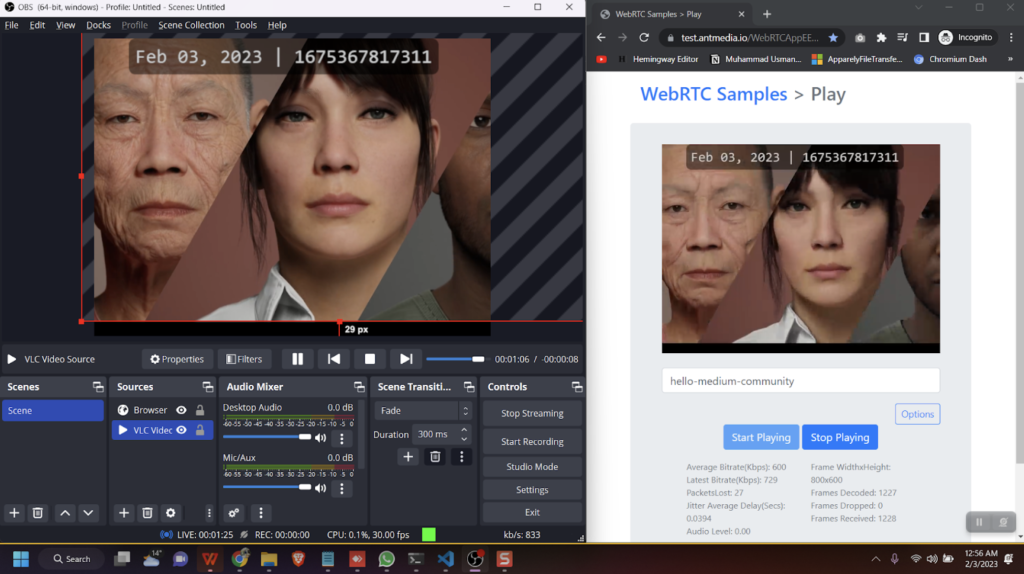 Unreal Engine Meta-Human Streaming Experience ant media server