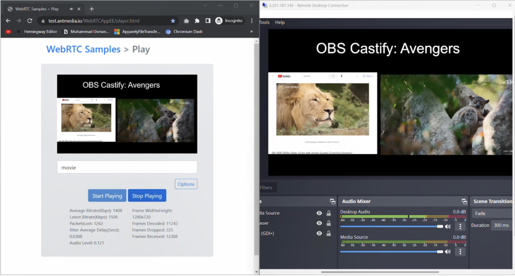 youtube double stream ant media server